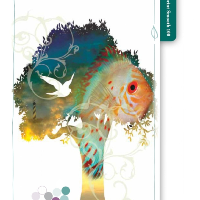 MuddleBusters Concierge INSIDE AND OUT SERVICES