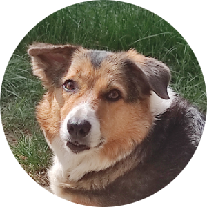 student-placeholder-8074