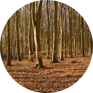 student-placeholder-12157