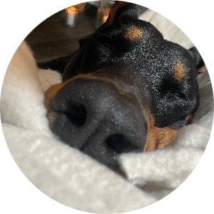 student-placeholder-15108