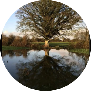 student-placeholder-2785