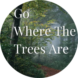 student-placeholder-14072