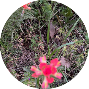 student-placeholder-18268