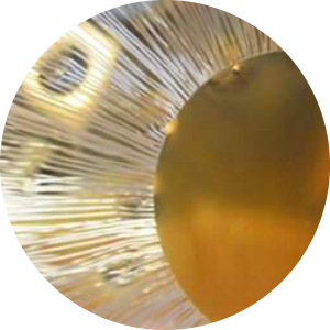 student-placeholder-21164